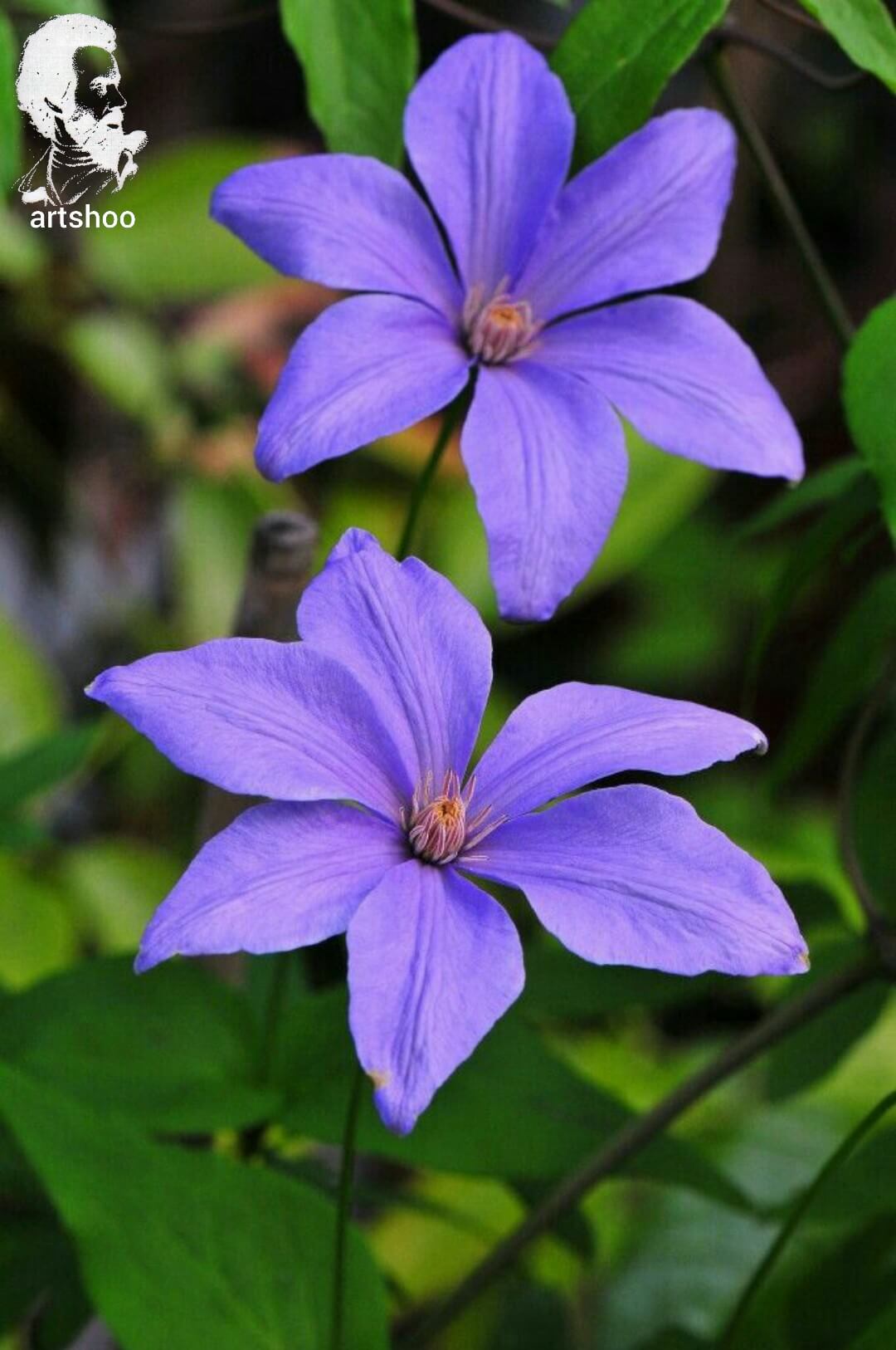 آموزش نقاشی رنگ روغن